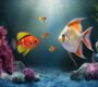 Exotic Fishes